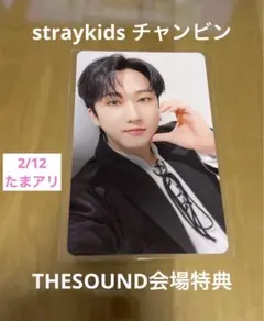 straykids THESOUND会場限定トレカ　チャンビン