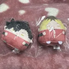 ハイキュー！ぬいくじ 黒尾、研磨セット