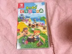 あつまれ どうぶつの森 Nintendo Switch