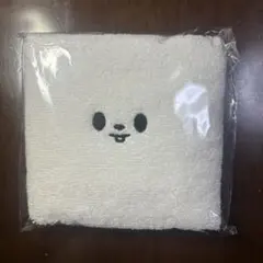straykids スキズ リノ リービット ペンミ 入場特典 タオル - メルカリ