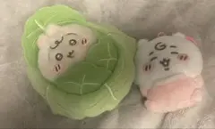 Item thumbnail for item c826c1c3-a307-4a05-ba81-27b9ae6cdcb2