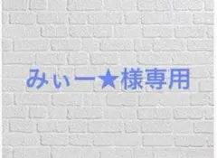 みぃー★様専用 指一本触れられない鉄壁令嬢と猛毒公爵の初恋リベンジ 他