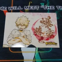 僕のヒーローアカデミア☆お花見☆ブロマイド☆爆豪