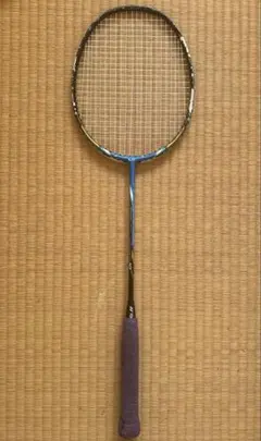 2025年最新】バドミントン ラケット ナノレイ10の人気アイテム