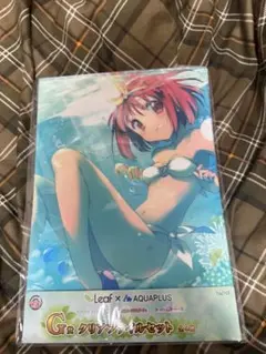 Leaf x AQUAPLUS クリアファイル3点セット