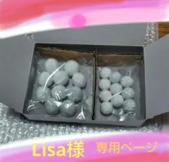 Item thumbnail for item 2dd61062-ab66-47ca-ace4-a37124653e8f