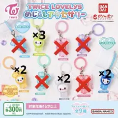 TWICE LOVELYS めじるしアクセサリー