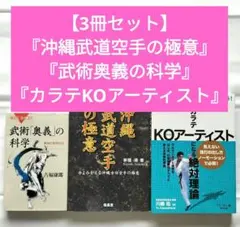 【3冊セット】『沖縄武道空手の極意』『武術奥義の科学』『カラテKOアーティスト』