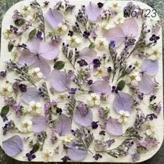 No,123 特小小花ミックス　ドライフラワー花材