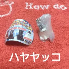 アイドルホース キャラクターグッズ