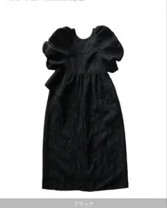 ANDRESD / bubble sleeve jacquard dress
