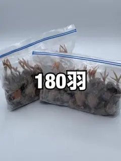 2026年最新】冷凍ウズラの人気アイテム - メルカリ