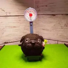 2025年最新】羊毛フェルトパグの人気アイテム - メルカリ