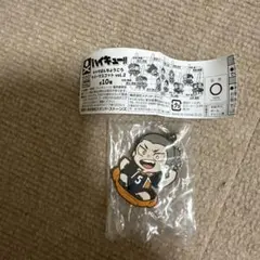 ハイキュー　キャラばんちょうこう　ラバーマスコット　田中龍之介