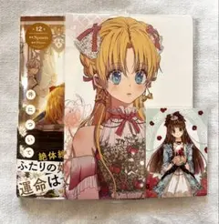 ある日お姫様になってしまった件について 12 巻 アニメイト 特典