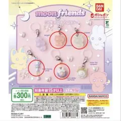 めじるしアクセサリー キャラクターグッズ