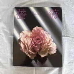 2026年最新】山上るい 布花の人気アイテム - メルカリ