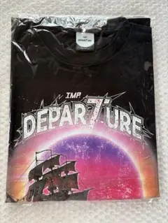 2026年最新】imp. departure tシャツの人気アイテム - メルカリ