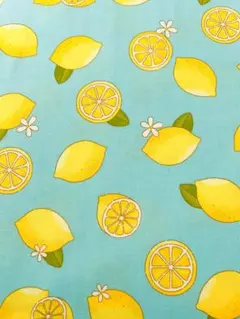 （現品限り）生地　レモン柄　cosmo　シーチング　50cmカット
