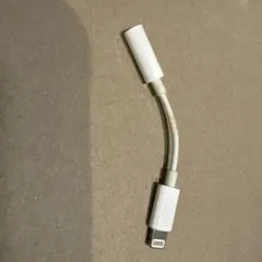 Lightning to 3.5mmオーディオアダプター