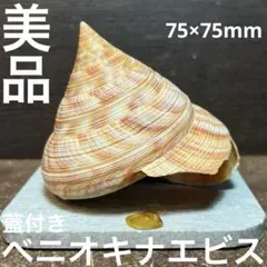 2026年最新】オキナエビスの人気アイテム - メルカリ