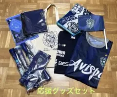 長崎ヴェルカ 馬場雄大 選手 フェイスタオル キーホルダー セット