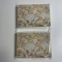 プロセカ ノーブル 望月穂波 vol.66