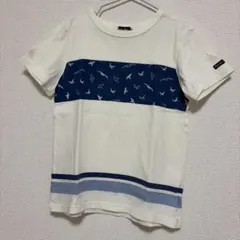 ミキハウス ブラックベア 鳥プリント ストライプ Tシャツ
