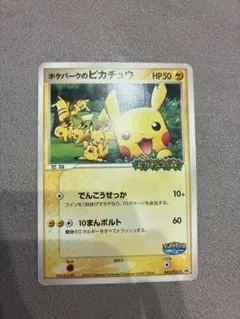 ポケパークのピカチュウ PROMO PCG-Pプロモカード 043/PCG-P - メルカリ