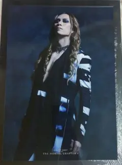 2025年最新】dir en grey ポートレートの人気アイテム - メルカリ