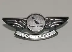 2025年最新】パイロットのウィングバッジの人気アイテム - メルカリ