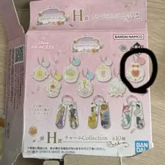 【一番くじ〈ディズニープリンセス〉Dream in color】H賞