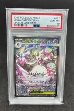 Item thumbnail for item 3aba934c-cfb1-40f0-b2bd-5f2837808083