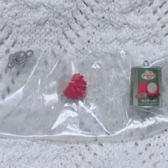 タイ フィギュアマスコット ガチャ ピジョン ランブータン