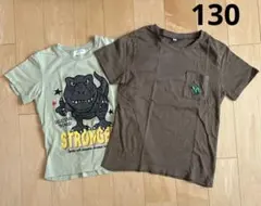 恐竜半袖Tシャツ　2枚セット　130