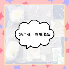 ねこ様　専用出品