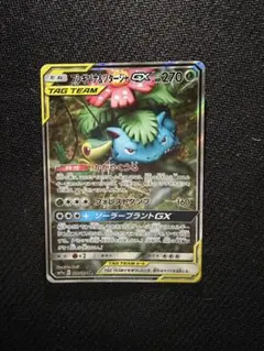 フシギバナ＆ツタージャGX SR SM11a リミックスバウト 066/064 - メルカリ