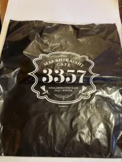 Item thumbnail for item 534dad91-bda5-40c1-b933-8813f38e5561