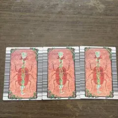 甲虫王者ムシキング むしつかいのあかし 3枚セット - メルカリ