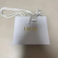 Dior エンボス加工ショッパー袋 小型