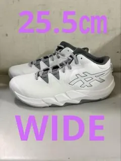 Item thumbnail for item 7af34821-5368-4dfe-86ac-bebcb1c51db2