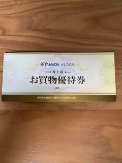 YAMADA HLDGS. お買物優待券 6枚セット