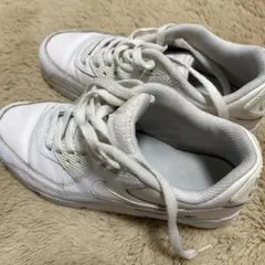 NIKE エア マックス 90 LTR