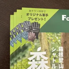 포레스트 어드벤처 오리지널 워크 글러브 선물 플라이어