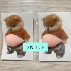 おなかぷにぷにシールお腹柴犬スクイーズシリコン 緩衝材発送【2枚セット】