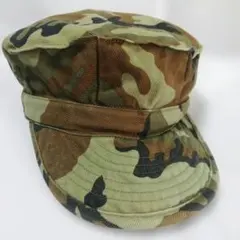 Item thumbnail for item 0146e8fa-4128-4d45-a7a0-67f605996722