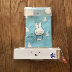 Item thumbnail for item c22185de-ec82-4914-a902-55cf0390b229