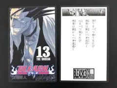 BLEACH ブリーチ 巻頭歌骨牌 21巻 平子真子 かるた - メルカリ