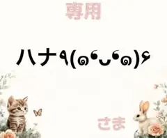 専用