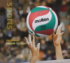 新品　期間セールmolten FIVB V5M5000 バレーボールのサムネイル
